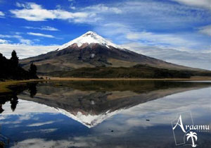 ECUADOR LEGJAVA