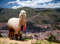 Peru utazás, nászút és esküvő